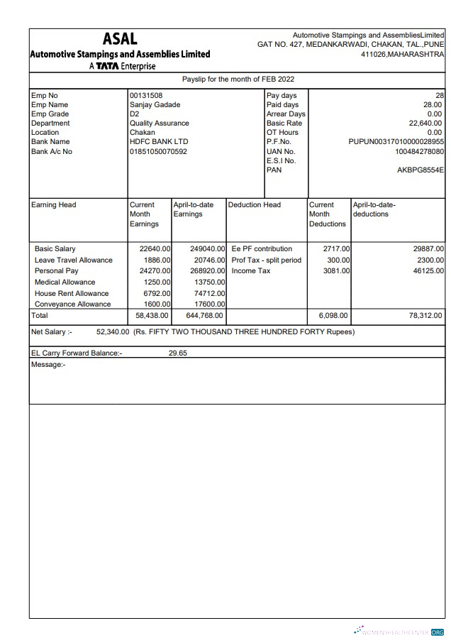Download Automotive Stampings and AssembliesLimited pay stub Photoshop template